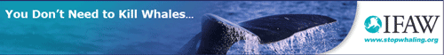 Save The Whales